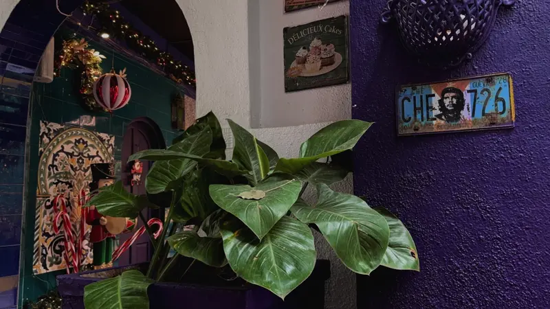 Café corner with vibrant purple wall, green potted plants, and vintage signs.
