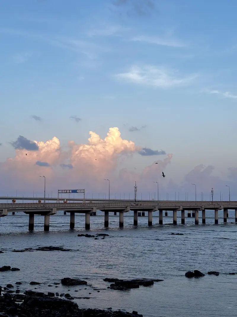 Mumbai coastal road viaduct over the sea with pastel pink evening clouds and flying birds.