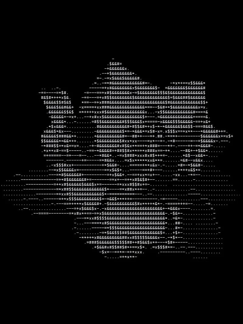 Monochrome text-based ASCII art portrait on a dark background.